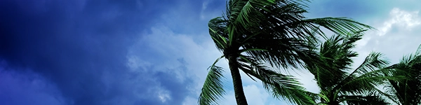 How to Prepare for a Hurricane