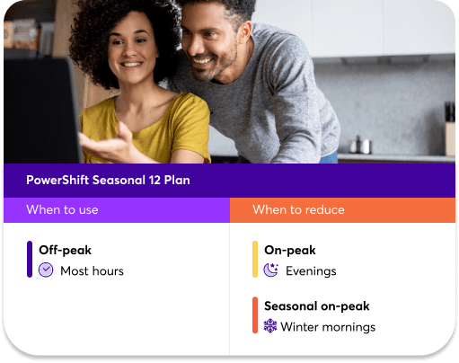 PowerShiftWinter12-PC