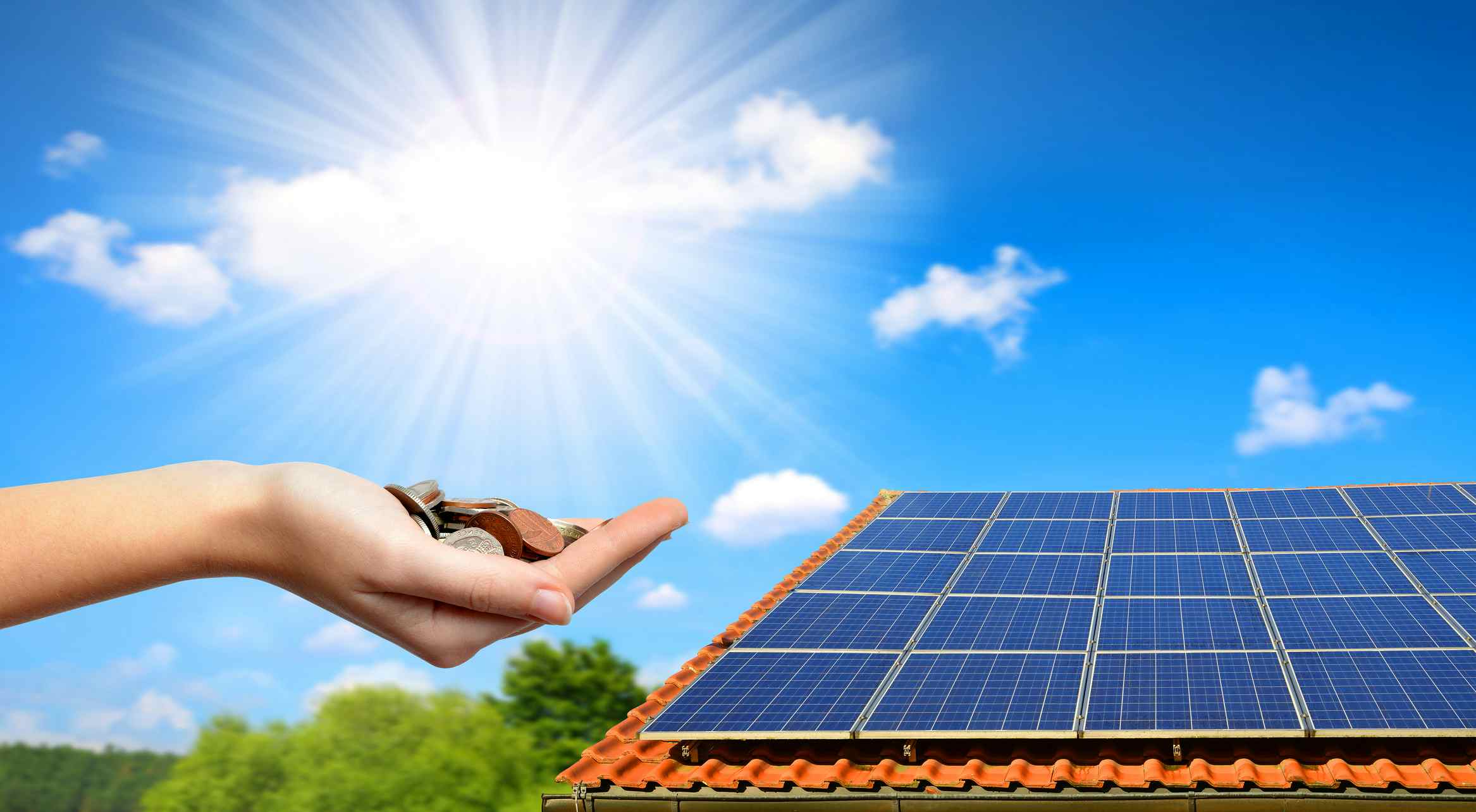 Blog Hero - What Are Solar Incentives?