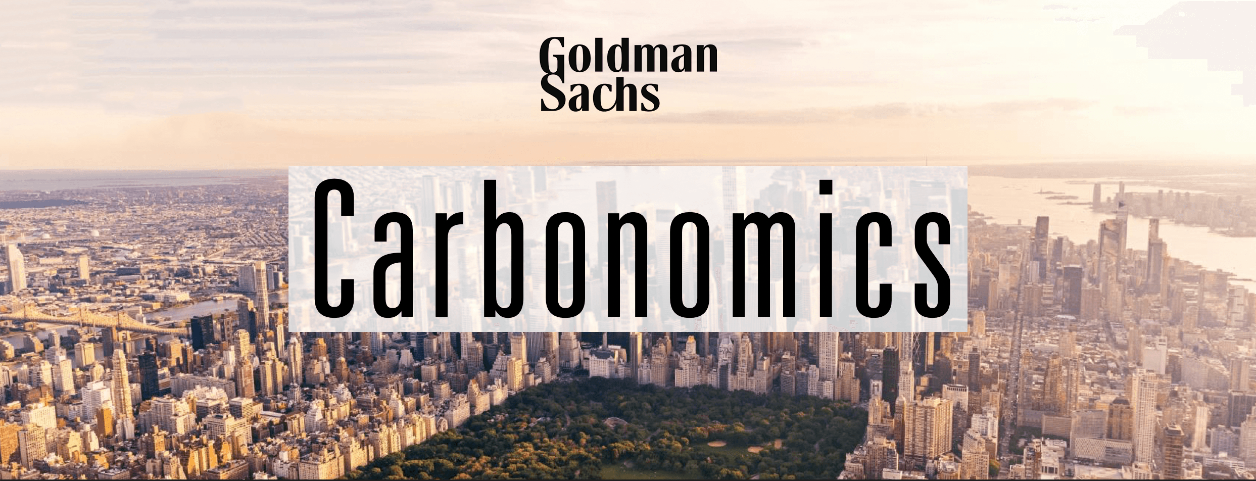 Blog GS Carbonomics