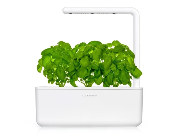 indoor-herb-garden