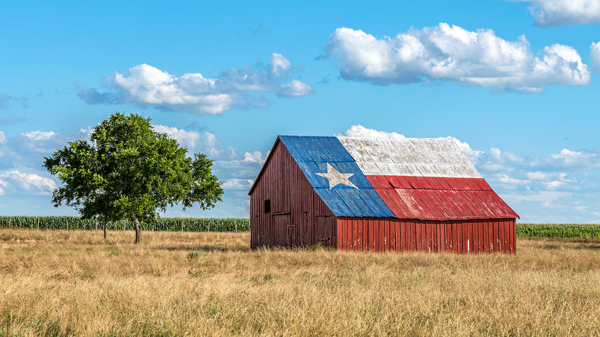Blog Hero: Electricity Deregulation in Texas