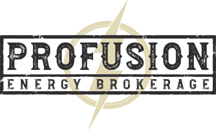 Profusion Energy Logo