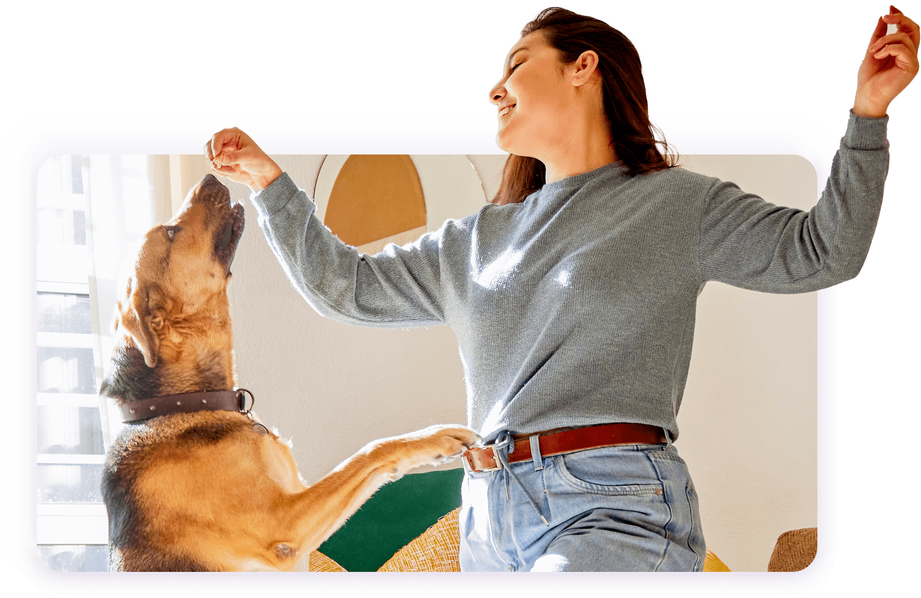 DigitalDiscount-hero